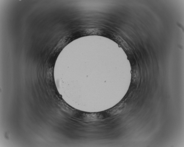 X0000096460473200802211130