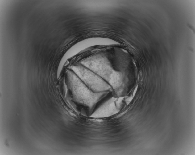 X0000096460475200802211130