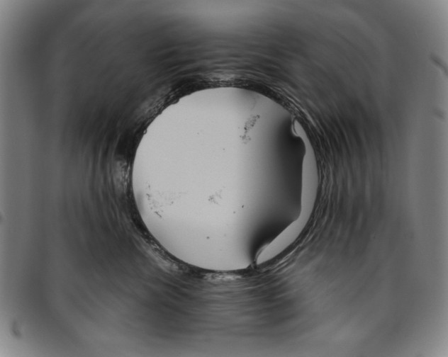 X0000096460476200802211130