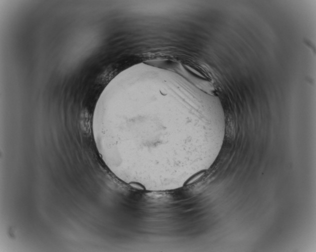X0000096460477200802211130