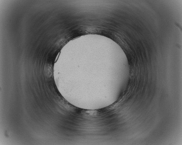X0000096460478200802211130