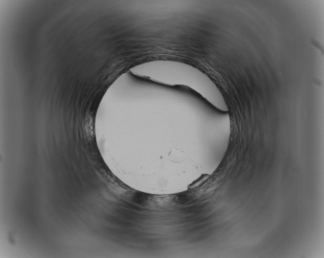 X0000096460479200802211130