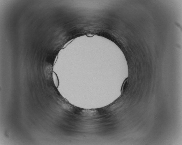X0000096460480200802211130