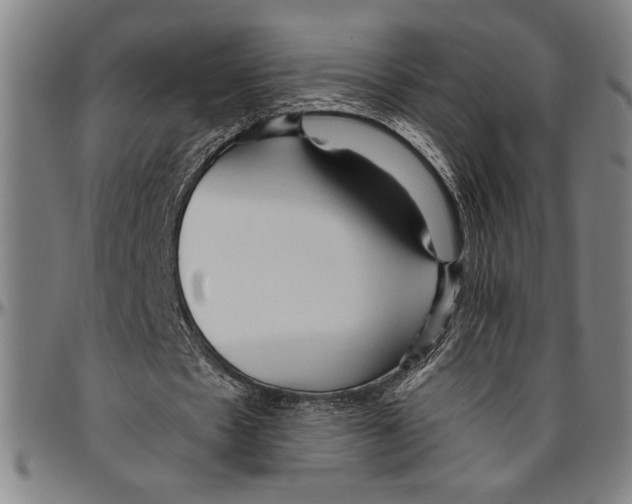 X0000096460481200802211130