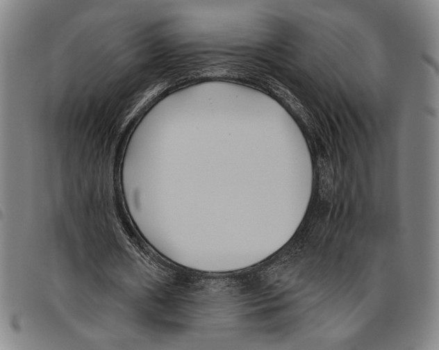 X0000096460482200802211130