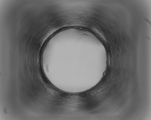 X0000096460483200802211130