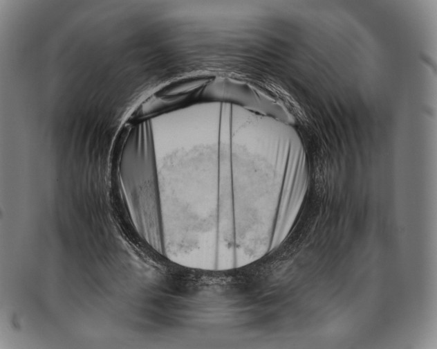 X0000096460484200802211130