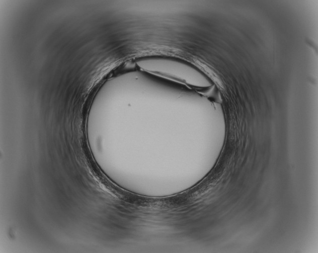 X0000096460485200802211130
