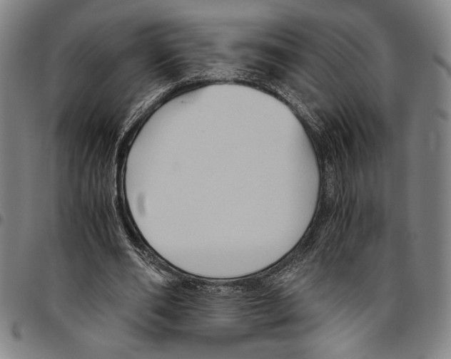 X0000096460486200802211130