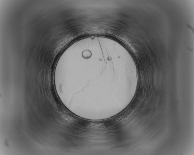 X0000096460487200802211130