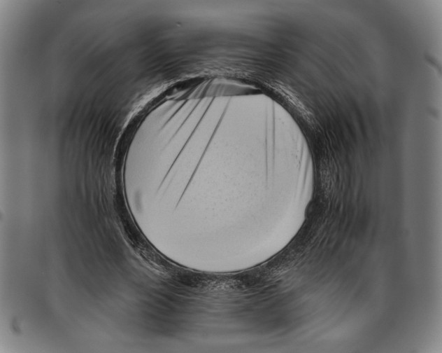 X0000096460488200802211130