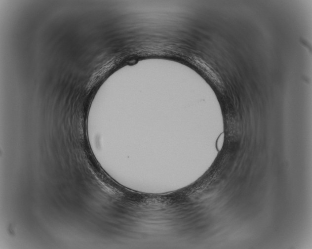 X0000096460489200802211130