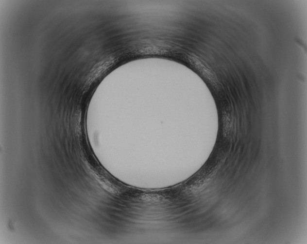 X0000096460490200802211129
