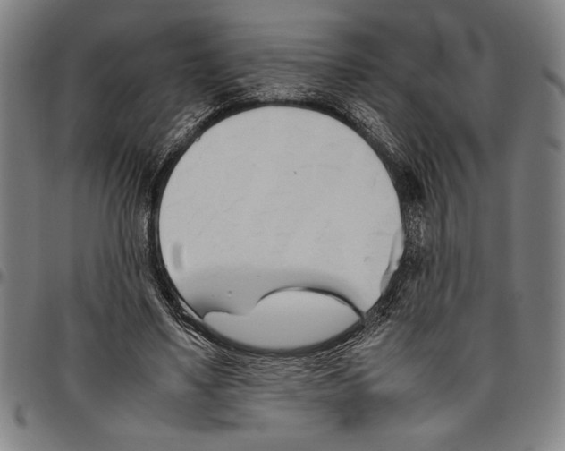 X0000096460491200802211129