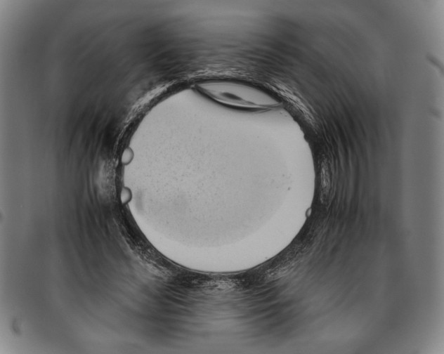X0000096460492200802211129