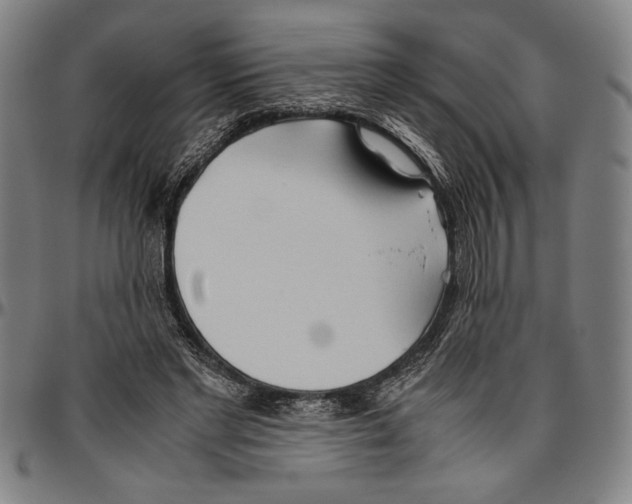 X0000096460493200802211129