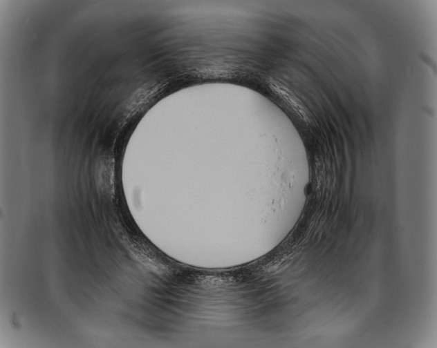 X0000096460494200802211129