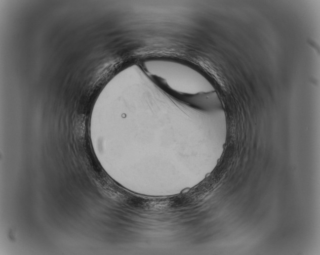 X0000096460495200802211129