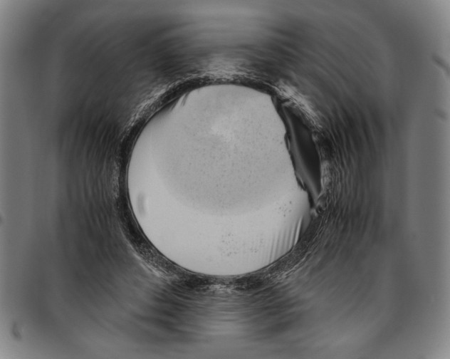 X0000096460496200802211129
