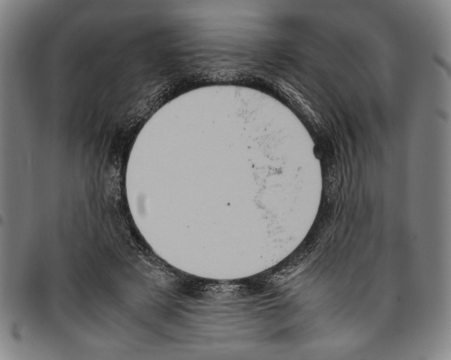 X0000096460497200802211129
