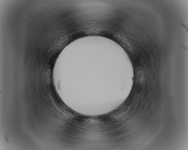 X0000096460498200802211129