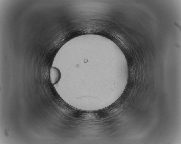 X0000096460499200802211129