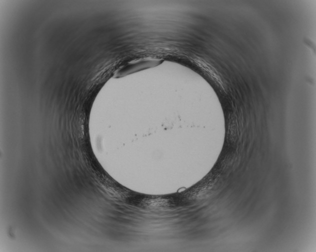 X0000096460501200802211129
