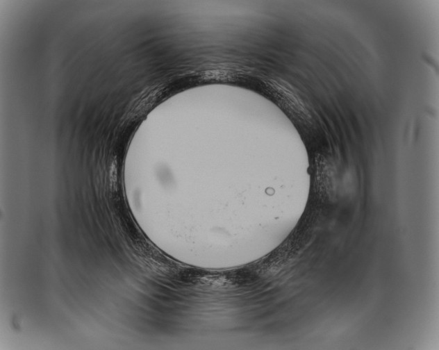 X0000096460502200802211129