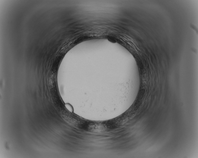 X0000096460503200802211129