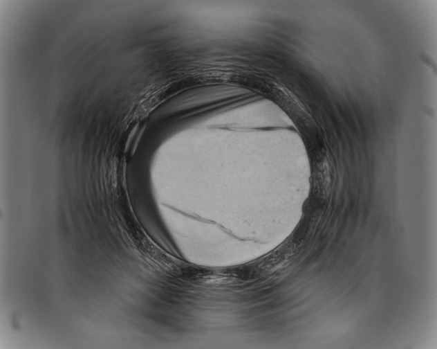 X0000096460504200802211129
