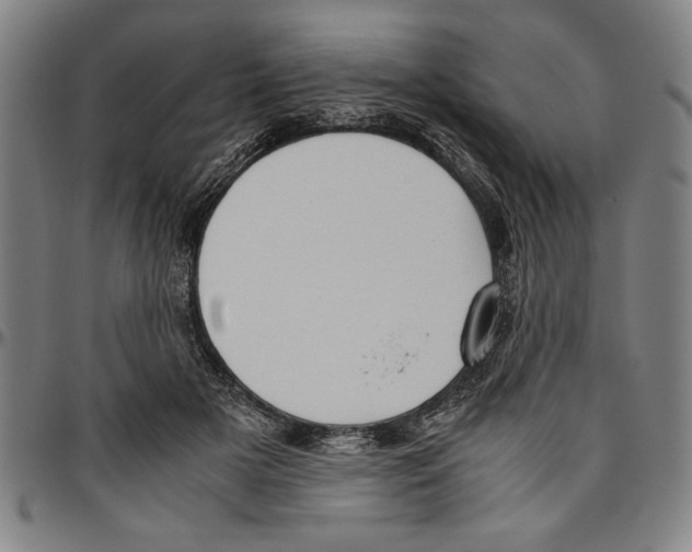X0000096460505200802211129