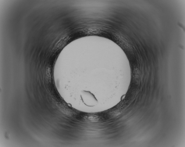 X0000096460506200802211129