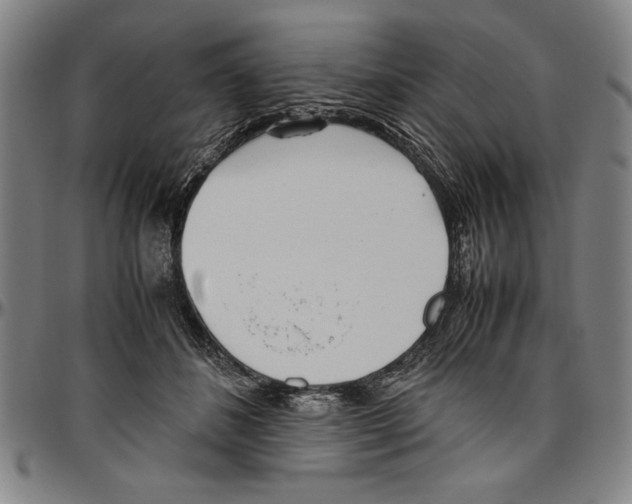 X0000096460508200802211129