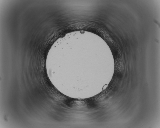 X0000096460509200802211129