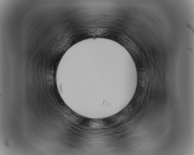 X0000096460510200802211129