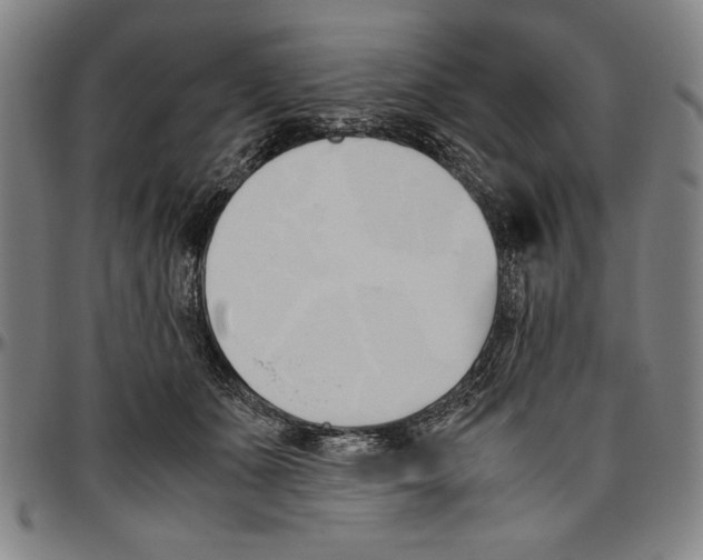 X0000096460511200802211129