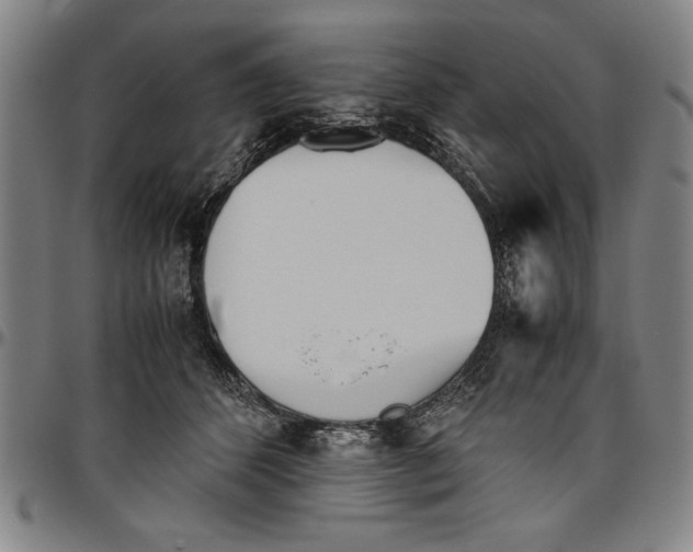 X0000096460512200802211129