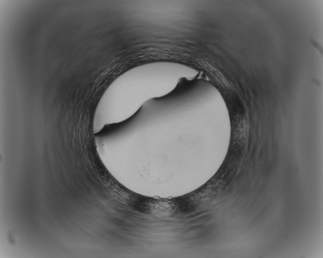 X0000096460513200802211129