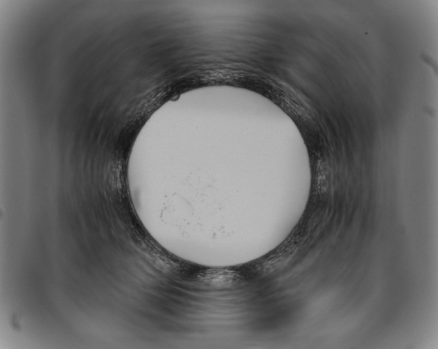 X0000096460514200802211129