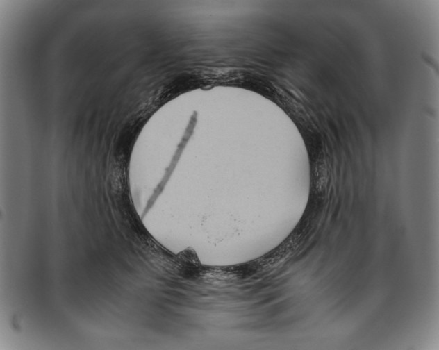X0000096460515200802211129