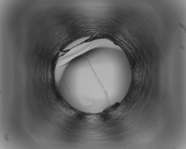 X0000096460516200802211129