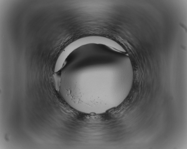 X0000096460517200802211129