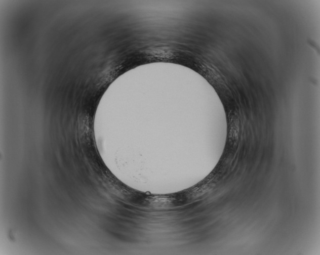 X0000096460518200802211129