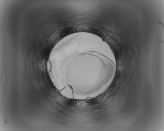 X0000096460519200802211129
