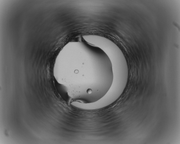 X0000096460520200802211129