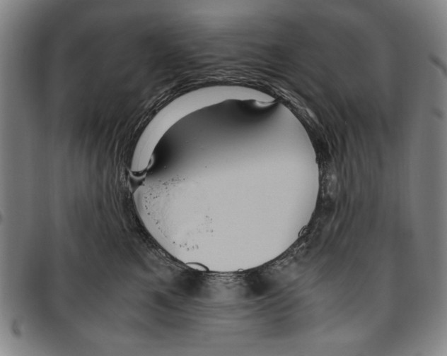 X0000096460521200802211129