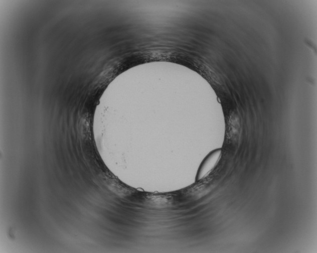 X0000096460522200802211129