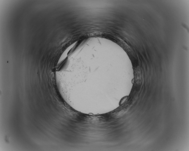 X0000096460523200802211129