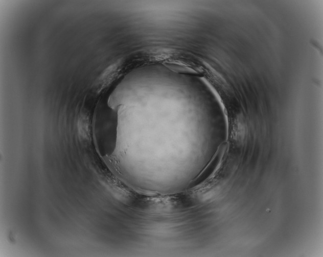 X0000096460524200802211129