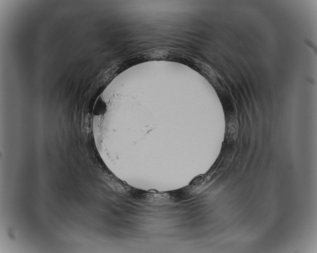 X0000096460525200802211129